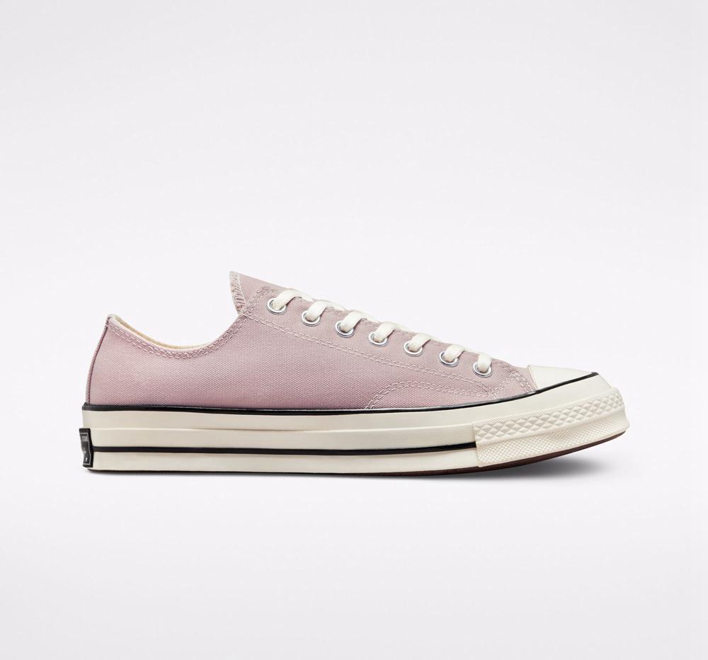 Low Tops Tenis Converse Chuck 70 Canvas Unisex Hombre Rosas Negras Colombia | FYDGC-6432