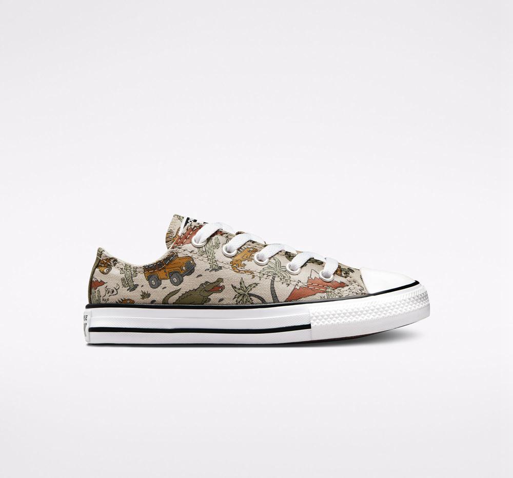 Low Tops Tenis Converse Chuck Taylor All Star Desert Explorer Little Kids Niño Multicolor Colombia | CMGQR-8912