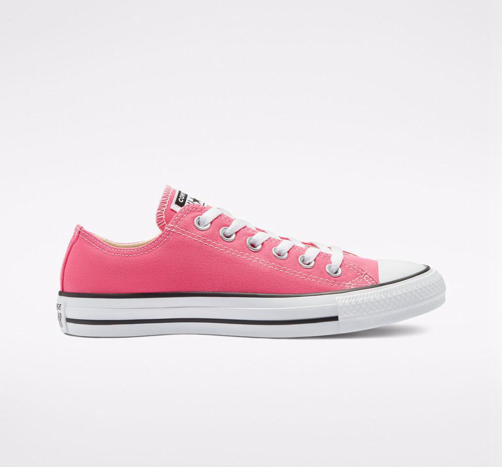 Low Tops Tenis Converse Chuck Taylor All Star Seasonal Color Unisex Mujer Rosas Colombia | MWPJH-2501