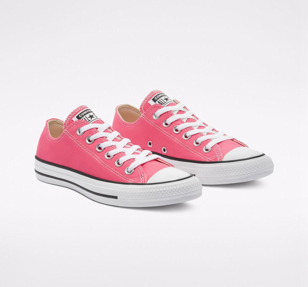 Low Tops Tenis Converse Chuck Taylor All Star Seasonal Color Unisex Mujer Rosas  Colombia |  MWPJH-2501