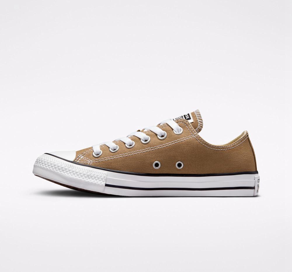 Low Tops Tenis Converse Chuck Taylor All Star Seasonal Color Unisex Hombre Marrones Blancas Negras  Colombia |  WGCNV-1846